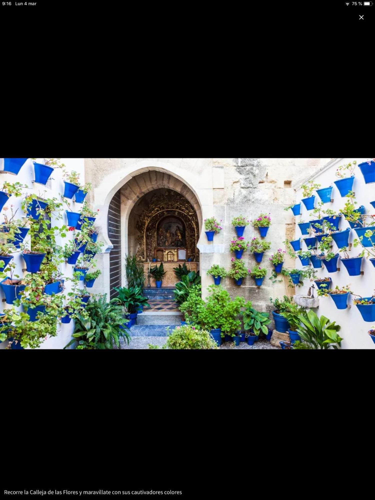 Centro Historico Mezquita Juderia La Preferida Apartment Cordoba Luaran gambar