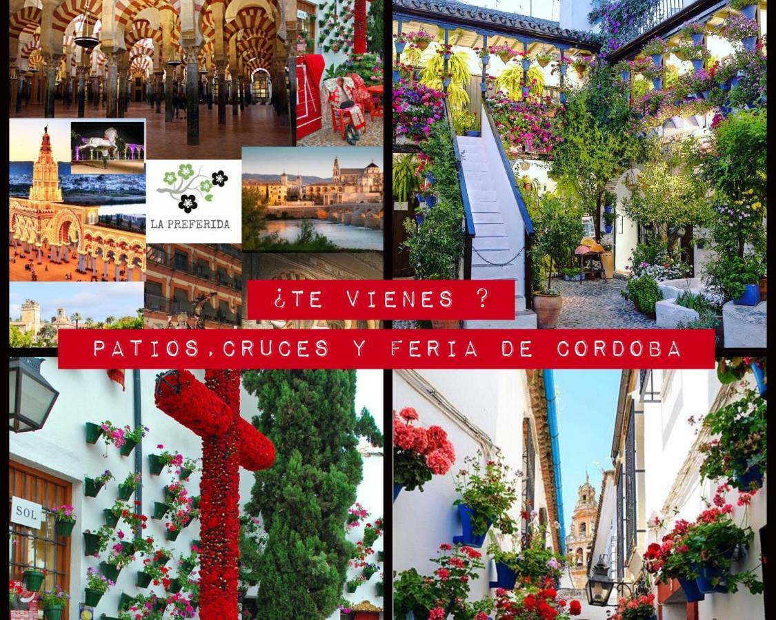 Centro Historico Mezquita Juderia La Preferida Apartment Cordoba Luaran gambar